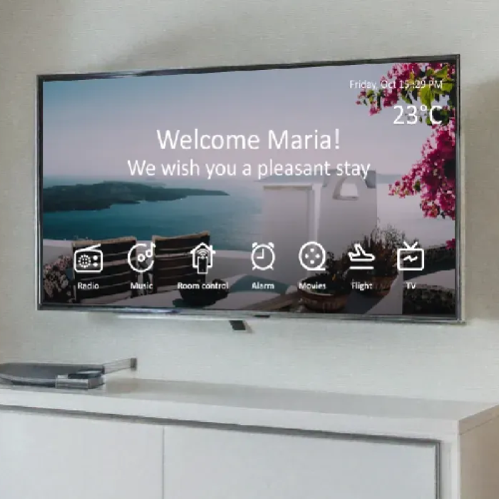 Modern Hotel In-Room Entertainment Systems